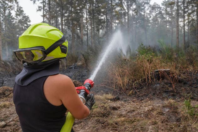 Loescharbeiten der Feuerwehr in Gebieten des Waldbrandes in Huertgewald (Hürtgenwald) im Kreis Dueren (Düren) (Foto vom 15.08.2026). Der Grossbrand in der Gemeinde in Huertgenwald hat sich in der Nacht zu Samstag nicht weiter ausgebreitet. 1.400 Einsatzkraefte sind im Einsatz. Der Brand war am Donnerstagabend in der Eifelgemeinde ausgebrochen und hatte sich am Freitag auf etwa 300 Hektar ausgebreitet, eine Flaeche fast so gross wie der Central Park in New York. Es ist der groesste jemals dokumentierte Waldbrand in Nordrhein-Westfalen. (Siehe epd-Bericht vom 15.08.2026) EDITORIAL USE ONLY *** Firefighters battling the wildfire in Huertgenwald, in the district of Düren. Photo taken on August 15, 2026. The major fire in the municipality of H Copyright: epd-bild GuidoxSchiefer epd-Grossbrand_Huertgenwald14-kopieren