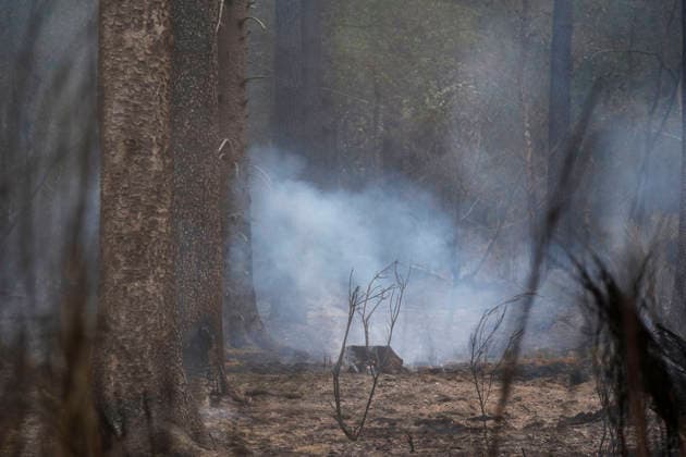 Glutnester am Boden im Wald von Huertgewald (Hürtgenwald) im Kreis Dueren (Düren) (Foto vom 15.08.2026). Der Grossbrand in der Gemeinde in Huertgenwald hat sich in der Nacht zu Samstag nicht weiter ausgebreitet. 1.400 Einsatzkraefte sind im Einsatz. Der Brand war am Donnerstagabend in der Eifelgemeinde ausgebrochen und hatte sich am Freitag auf etwa 300 Hektar ausgebreitet, eine Flaeche fast so gross wie der Central Park in New York. Es ist der groesste jemals dokumentierte Waldbrand in Nordrhein-Westfalen. (Siehe epd-Bericht vom 15.08.2026) EDITORIAL USE ONLY *** Pockets of embers on the forest floor in Huertgenwald, in the district of Düren. Photo taken on August 15, 2026. The major fire in the municipality of Huertgenwald did not sprea Copyright: epd-bild GuidoxSchiefer epd-Grossbrand_Huertgenwald15-kopieren