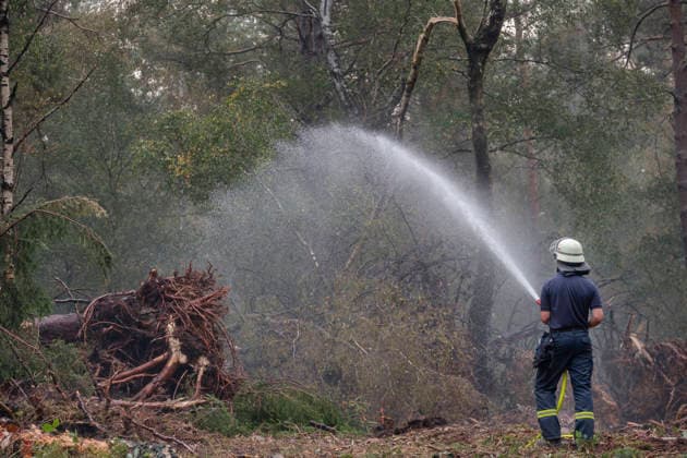 Loescharbeiten der Feuerwehr in Gebieten des Waldbrandes in Huertgewald (Hürtgenwald) im Kreis Dueren (Düren) (Foto vom 15.08.2026). Der Grossbrand in der Gemeinde in Huertgenwald hat sich in der Nacht zu Samstag nicht weiter ausgebreitet. 1.400 Einsatzkraefte sind im Einsatz. Der Brand war am Donnerstagabend in der Eifelgemeinde ausgebrochen und hatte sich am Freitag auf etwa 300 Hektar ausgebreitet, eine Flaeche fast so gross wie der Central Park in New York. Es ist der groesste jemals dokumentierte Waldbrand in Nordrhein-Westfalen. (Siehe epd-Bericht vom 15.08.2026) EDITORIAL USE ONLY *** Firefighters battling the wildfire in Huertgenwald, in the district of Düren. Photo taken on August 15, 2026. The major fire in the municipality of H Copyright: epd-bild GuidoxSchiefer epd-Grossbrand_Huertgenwald20-kopieren