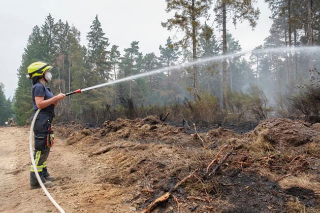 Loescharbeiten der Feuerwehr in Gebieten des Waldbrandes in Huertgewald (Hürtgenwald) im Kreis Dueren (Düren) (Foto vom 15.08.2026). Der Grossbrand in der Gemeinde in Huertgenwald hat sich in der Nacht zu Samstag nicht weiter ausgebreitet. 1.400 Einsatzkraefte sind im Einsatz. Der Brand war am Donnerstagabend in der Eifelgemeinde ausgebrochen und hatte sich am Freitag auf etwa 300 Hektar ausgebreitet, eine Flaeche fast so gross wie der Central Park in New York. Es ist der groesste jemals dokumentierte Waldbrand in Nordrhein-Westfalen. (Siehe epd-Bericht vom 15.08.2026) EDITORIAL USE ONLY *** Firefighters battling the wildfire in Huertgenwald, in the district of Düren. Photo taken on August 15, 2026. The major fire in the municipality of H Copyright: epd-bild GuidoxSchiefer 260815_Waldbrand_H__rtgenwald_23