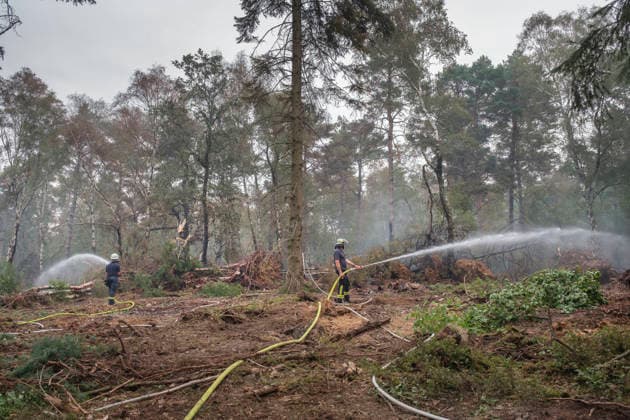 Loescharbeiten der Feuerwehr in Gebieten des Waldbrandes in Huertgewald (Hürtgenwald) im Kreis Dueren (Düren) (Foto vom 15.08.2026). Der Grossbrand in der Gemeinde in Huertgenwald hat sich in der Nacht zu Samstag nicht weiter ausgebreitet. 1.400 Einsatzkraefte sind im Einsatz. Der Brand war am Donnerstagabend in der Eifelgemeinde ausgebrochen und hatte sich am Freitag auf etwa 300 Hektar ausgebreitet, eine Flaeche fast so gross wie der Central Park in New York. Es ist der groesste jemals dokumentierte Waldbrand in Nordrhein-Westfalen. (Siehe epd-Bericht vom 15.08.2026) EDITORIAL USE ONLY *** Firefighters battling the wildfire in Huertgenwald, in the district of Düren. Photo taken on August 15, 2026. The major fire in the municipality of H Copyright: epd-bild GuidoxSchiefer 260815_Waldbrand_H__rtgenwald_27