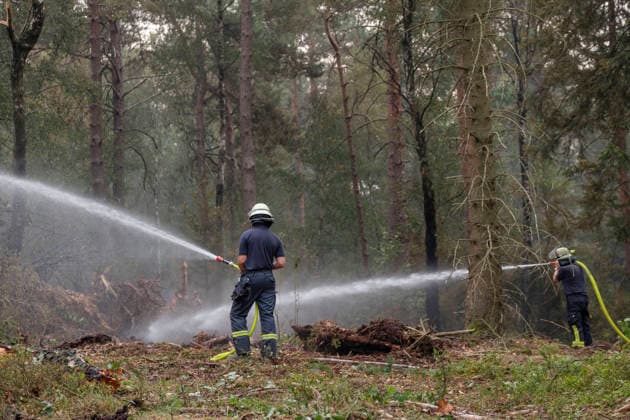 Loescharbeiten der Feuerwehr in Gebieten des Waldbrandes in Huertgewald (Hürtgenwald) im Kreis Dueren (Düren) (Foto vom 15.08.2026). Der Grossbrand in der Gemeinde in Huertgenwald hat sich in der Nacht zu Samstag nicht weiter ausgebreitet. 1.400 Einsatzkraefte sind im Einsatz. Der Brand war am Donnerstagabend in der Eifelgemeinde ausgebrochen und hatte sich am Freitag auf etwa 300 Hektar ausgebreitet, eine Flaeche fast so gross wie der Central Park in New York. Es ist der groesste jemals dokumentierte Waldbrand in Nordrhein-Westfalen. (Siehe epd-Bericht vom 15.08.2026) EDITORIAL USE ONLY *** Firefighters battling the wildfire in Huertgenwald, in the district of Düren. Photo taken on August 15, 2026. The major fire in the municipality of H Copyright: epd-bild GuidoxSchiefer 260815_Waldbrand_H__rtgenwald_31