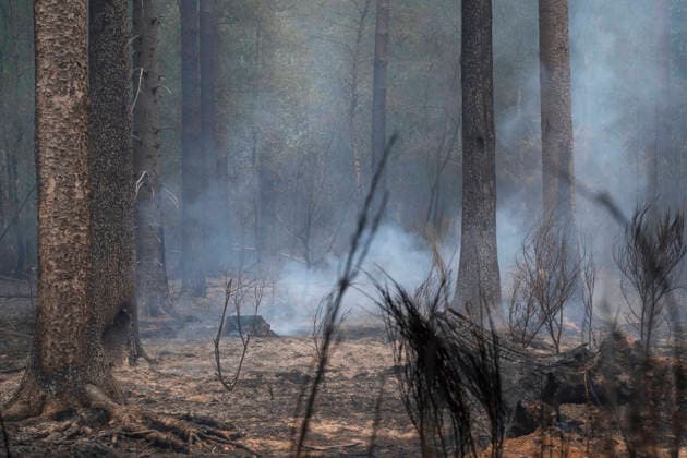 Glutnester am Boden im Wald von Huertgewald (Hürtgenwald) im Kreis Dueren (Düren) (Foto vom 15.08.2026). Der Grossbrand in der Gemeinde in Huertgenwald hat sich in der Nacht zu Samstag nicht weiter ausgebreitet. 1.400 Einsatzkraefte sind im Einsatz. Der Brand war am Donnerstagabend in der Eifelgemeinde ausgebrochen und hatte sich am Freitag auf etwa 300 Hektar ausgebreitet, eine Flaeche fast so gross wie der Central Park in New York. Es ist der groesste jemals dokumentierte Waldbrand in Nordrhein-Westfalen. (Siehe epd-Bericht vom 15.08.2026) EDITORIAL USE ONLY *** Pockets of embers on the forest floor in Huertgenwald, Hürtgenwald, in the district of Düren. Photo taken on August 15, 2026. The major fire in the municipality of Huertgenwald Copyright: epd-bild GuidoxSchiefer 260815_Waldbrand_H__rtgenwald_44