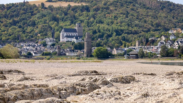 Niedrigwasser am Rhein nach langer Dürrephase, Kaub, 15.08.2026 Der Rhein führt nach anhaltender Dürre extremes Niedrigwasser, weite Kies- und Felsbänke liegen trocken. Im Hintergrund ist Oberwesel mit seiner historischen Silhouette zu erkennen. Kaub Rheinland-Pfalz Deutschland *** Low Water Levels on the Rhine Following a Long Drought, Kaub, August 15, 2026. Following a prolonged drought, the Rhine is at extremely low levels; vast gravel and rock banks lie dry. Oberwesel, with its historic skyline, can be seen in the background. Kaub, Rhineland-Palatinate, Germany 20260815-286A5694-M4000