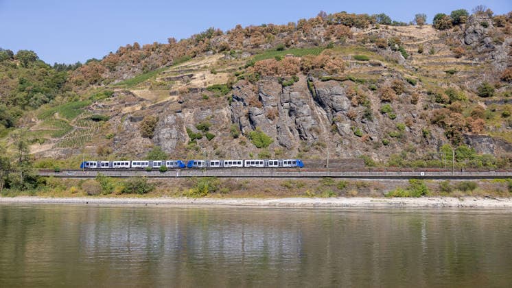 Niedrigwasser am Rhein nach langer Dürrephase, Kaub, 15.08.2026 Der Rhein führt nach langer Dürrephase deutliches Niedrigwasser, breite Uferstreifen liegen trocken. Ein Nahverkehrszug der linken Rheinstrecke fährt entlang des Ufers vor einem markanten Felshang. Kaub Rheinland-Pfalz Deutschland *** Low Water Levels on the Rhine After a Long Drought, Kaub, August 15, 2026: After a long drought, the Rhine is at significantly low water levels; wide strips of the riverbank are dry. A commuter train on the left bank of the Rhine travels along the riverbank in front of a striking rocky slope in Kaub, Rhineland-Palatinate, Germany 20260815-286A5726-M4000