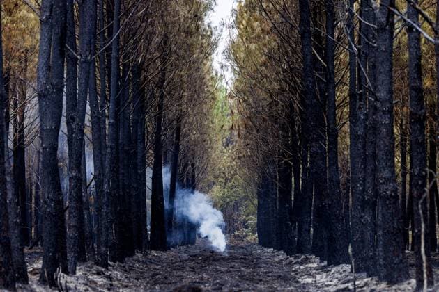 News Bilder des Tages Luglon, Frankreich, 2026-08-16 10:23:37 Luglon, 16-08-2026, smoldering remains in a burnt-out patch of forest. Photo: NLBeeld Robert Meerding Credit: NL Beeld Robert Meerding Inc  Copyright: xx x