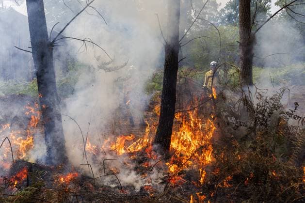 Luglon, Frankreich, 2026-08-16 11:00:44 Luglon, 16-08-2026, fire department burns off unburned vegetation to prevent it from causing a new fire. Photo: NLBeeld Robert Meerding Credit: NL Beeld Robert Meerding Inc  Copyright: xx x
