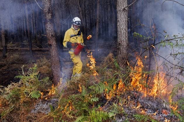 Luglon, Frankreich, 2026-08-16 11:01:47 Luglon, 16-08-2026, fire department burns off unburned vegetation to prevent it from causing a new fire. Photo: NLBeeld Robert Meerding Credit: NL Beeld Robert Meerding Inc  Copyright: xx x