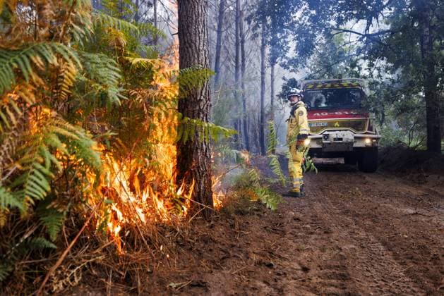 Luglon, Frankreich, 2026-08-16 10:57:29 Luglon, 16-08-2026, fire department burns off unburned vegetation to prevent it from causing a new fire. Photo: NLBeeld Robert Meerding Credit: NL Beeld Robert Meerding Inc  Copyright: xx x