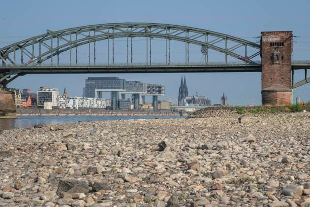 Eine bodennahe Aufnahme zeigt das weitläufige, freigelegte Kiesel- und Steinufer des Rheins bei extremem sommerlichem Niedrigwasser. Im unscharfen Hintergrund erstreckt sich die stählerne Fachwerk-Konstruktion der historischen Südbrücke mit ihren markanten Wehrtürmen aus Backstein. Dahinter zeichnet sich die Kölner Skyline mit den modernen Kranhäusern im Rheinauhafen und den entfernten Spitzen des Kölner Doms unter einem klaren, blauen Himmel ab. *** A low-angle shot captures the wide, exposed pebble and stone bank of the Rhine during extreme summer low water levels. In the blurred background, the steel truss structure of the historic Südbrücke stands out with its distinctive brick defense towers. Behind it, the Cologne skyline fe 20260816-DSCF2120