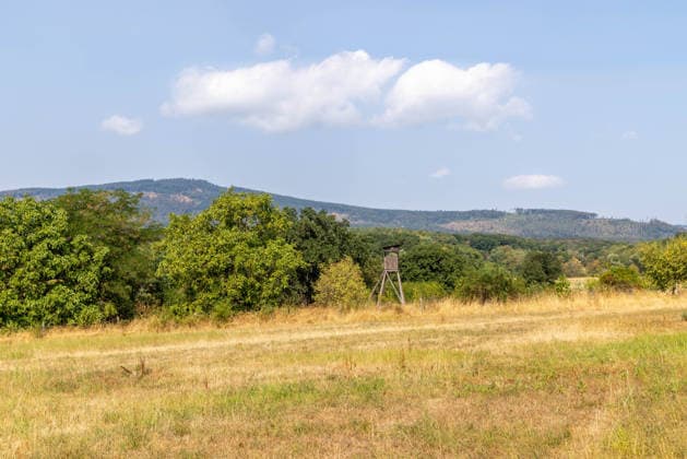 Trockenes Sommerwetter Blick über vertrocknete Wiesen zum Altkönig im Taunus. Die Blätter der Bäume im Wald sind teils schon herbstlich verfärbt., Kronberg Hessen Deutschland *** Dry summer weather; view across parched meadows toward the Altkönig in the Taunus Mountains; some of the leaves on the trees in the forest have already taken on autumnal colors; Kronberg, Hesse, Germany