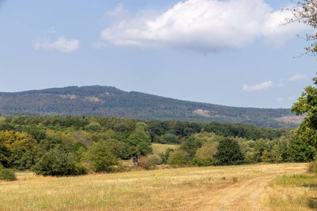 Trockenes Sommerwetter Blick über vertrocknete Wiesen zum Altkönig im Taunus. Die Blätter der Bäume im Wald sind teils schon herbstlich verfärbt., Kronberg Hessen Deutschland *** Dry summer weather; view across parched meadows toward the Altkönig in the Taunus Mountains; some of the leaves on the trees in the forest have already taken on autumnal colors; Kronberg, Hesse, Germany