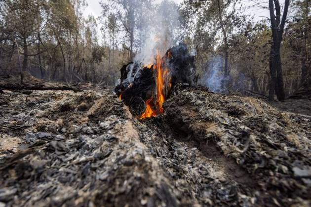 Luglon, The Netherlands, 2026-08-16 14:21:46 Luglon, 16-08-2026, a burning tree stump. Photo: NLBeeld Robert Meerding Credit: NL Beeld Robert Meerding Inc  Copyright: xx x