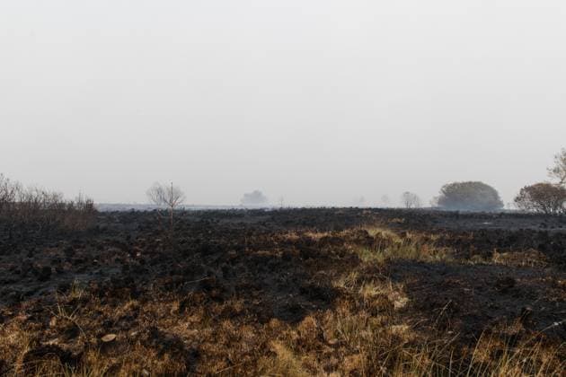 Emergency services pictured on the site, as a fire rages in the Hautes Fagnes (High Fens) nature reserve, on Sunday 16 August 2026 in Waimes. The fire started on August 14th and 2700 hectares (on a total of 4500) are impacted.  NICOLASxLAMBERT 183533026