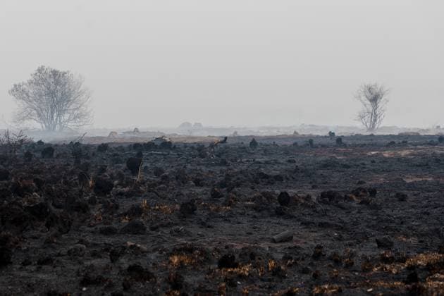 Firefighters in action on the scene of a fire rages in the Hautes Fagnes (High Fens) nature reserve, on Sunday 16 August 2026 in Waimes. The fire started on August 14th and 2700 hectares (on a total of 4500) are impacted.  NICOLASxLAMBERT 183534134