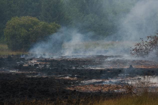 Firefighters in action on the scene of a fire rages in the Hautes Fagnes (High Fens) nature reserve, on Sunday 16 August 2026 in Waimes. The fire started on August 14th and 2700 hectares (on a total of 4500) are impacted.  NICOLASxLAMBERT 183534053