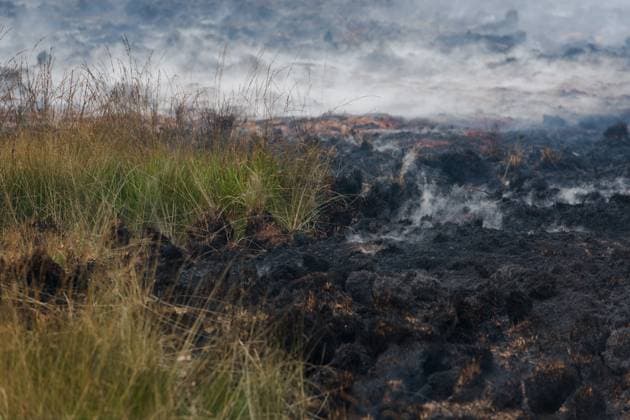 Firefighters in action on the scene of a fire rages in the Hautes Fagnes (High Fens) nature reserve, on Sunday 16 August 2026 in Waimes. The fire started on August 14th and 2700 hectares (on a total of 4500) are impacted.  NICOLASxLAMBERT 183534064