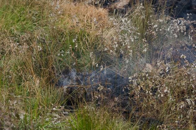 Firefighters in action on the scene of a fire rages in the Hautes Fagnes (High Fens) nature reserve, on Sunday 16 August 2026 in Waimes. The fire started on August 14th and 2700 hectares (on a total of 4500) are impacted.  NICOLASxLAMBERT 183534079