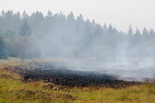 A burned out landscape pictured as a fire rages in the Hautes Fagnes (High Fens) nature reserve, on Sunday 16 August 2026 in Waimes. The fire started on August 14th and 2700 hectares (on a total of 4500) are impacted.  NICOLASxLAMBERT 183534420