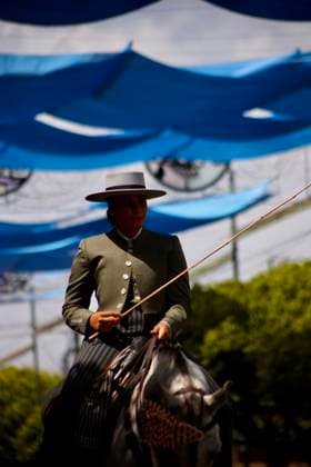 Scenes from the Málaga Fair: Horse-drawn carriages and horses parade through the Cortijo de Torres at the Málaga Fair. August 16, 2026, in Málaga, Andalusia, Spain. Locals and visitors enjoy the Málaga Fair at the fairgrounds. August 16, 2026, in Málaga, Andalusia, Málaga, Andalusia, Spain  Copyright: xÃlexxZeax 7716824