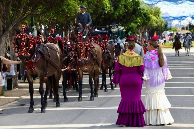 Scenes from the Málaga Fair: Horse-drawn carriages and horses parade through the Cortijo de Torres at the Málaga Fair. August 16, 2026, in Málaga, Andalusia, Spain. Locals and visitors enjoy the Málaga Fair at the fairgrounds. August 16, 2026, in Málaga, Andalusia, Málaga, Andalusia, Spain  Copyright: xÃlexxZeax 7716825