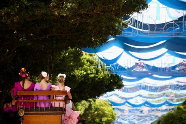 Scenes from the Málaga Fair: Horse-drawn carriages and horses parade through the Cortijo de Torres at the Málaga Fair. August 16, 2026, in Málaga, Andalusia, Spain. Locals and visitors enjoy the Málaga Fair at the fairgrounds. August 16, 2026, in Málaga, Andalusia, Málaga, Andalusia, Spain  Copyright: xÃlexxZeax 7716822