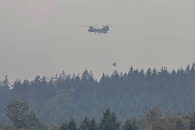 Fire in the Belgian High Fens JALHAY, BELGIUM - AUGUST 16 : A Boeng CH-47 Chinook Heloicopter in the air in Küchelscheid during an important fire that has broken out in the Belgian High Fens on August 16, 2026 in Jalhay, Belgium, 16 08 2026 Jalhay Belgium  Copyright: xDhax