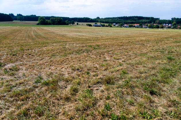 16.08.2026, Beckstetten im Unterallgäu, Landwirtschaftliche Wiese, der Boden ist extrem trocken durch den fehlenden Regen in diesem Sommer. Für die Landwirte gibt es kaum Grünfutter für die Tierhaltung. 16.08.2026, Acker 16.08.2026, Acker *** August 16, 2026, Beckstetten in the Unterallgäu region, agricultural meadow; the soil is extremely dry due to the lack of rain this summer. Farmers have hardly any forage for their livestock. August 16, 2026, field; August 16, 2026, field