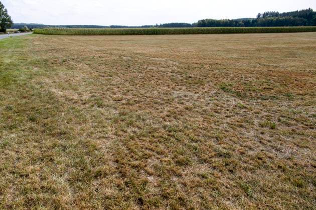 16.08.2026, Beckstetten im Unterallgäu, Landwirtschaftliche Wiese, der Boden ist extrem trocken durch den fehlenden Regen in diesem Sommer. Für die Landwirte gibt es kaum Grünfutter für die Tierhaltung. 16.08.2026, Acker 16.08.2026, Acker *** August 16, 2026, Beckstetten in the Unterallgäu region, agricultural meadow; the soil is extremely dry due to the lack of rain this summer. Farmers have hardly any forage for their livestock. August 16, 2026, field; August 16, 2026, field