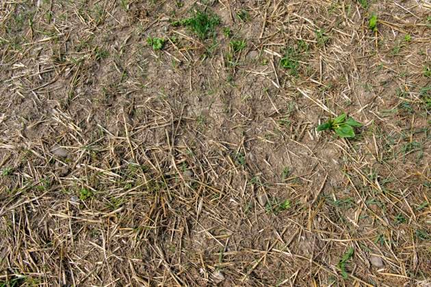 16.08.2026, Beckstetten im Unterallgäu, Landwirtschaftliche Wiese, der Boden ist extrem trocken durch den fehlenden Regen in diesem Sommer. Für die Landwirte gibt es kaum Grünfutter für die Tierhaltung. 16.08.2026, Acker 16.08.2026, Acker *** August 16, 2026, Beckstetten in the Unterallgäu region, agricultural meadow; the soil is extremely dry due to the lack of rain this summer. Farmers have hardly any forage for their livestock. August 16, 2026, field; August 16, 2026, field