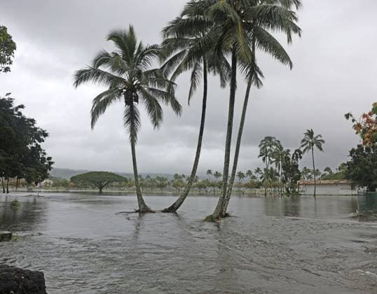 Hawaii recovers after Hurricane Lala HILO — Cleanup efforts were underway Sunday morning across Hilo after Hurricane Lala brought heavy rain, strong winds, and flooding to Hawai?i Island as the storm passed south of the Big Island Saturday., , Floodwaters covered portions of the Hilo Bayfront area as heavy rainfall associated with Lala soaked windward Hawai?i Island. Residents and crews began clearing debris and assessing flooded areas as conditions gradually improved Sunday., , Rainfall varied considerably across the island. Before the storm arrived, the National Weather Service had forecast 8 to 12 inches across the Big Island, with more than 20 inches possible in isolated windward locations. Official final storm-total rainfall amounts we  Copyright: xThexMegaxAgencyxTimxWrightx xMEGAx
