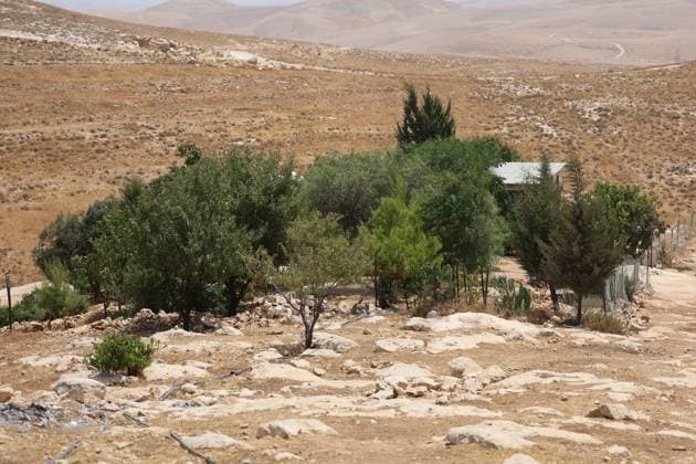 August 16, 2026, Masafer Yatta, Palestine, State of: MASAFER YATTA, WEST BANK, PALESTINE, AUGUST 16, 2026: Palestinian Abdullah Dababseh holds his phone displaying a demolition order issued by the Israeli army for the cave where he lives in Khirbet Khallet Al-Dabaa, south of Hebron. According to local residents, demolition orders were issued for three homes, three caves, a school, trees and crops in the area. Residents said the village was demolished in May 2025, forcing some Palestinians to live in caves. Masafer Yatta Palestine, State of  - ZUMAq101 20260816_zna_q101_110 Copyright: xMosabxShawerx
