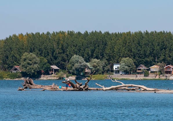 (260816) -- BELGRADE, Aug. 16, 2026 -- This photo taken on Aug. 16, 2026 in Belgrade, Serbia, shows tree trunks exposed in the Danube River as the river s water level approached record-low by severe drought. (Photo by Xinhua) SERBIA-BELGRADE-DANUBE RIVER-DROUGHT WangxWei 