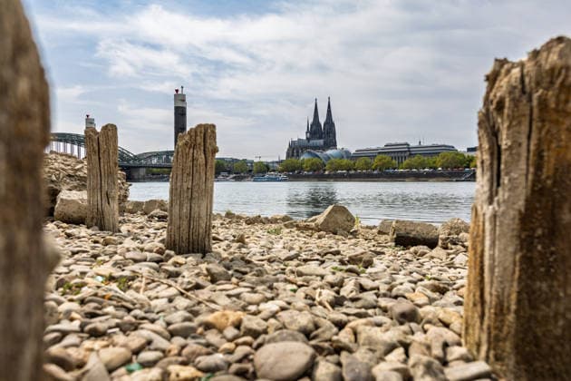 Historischer Niedrigwasser-Rekord am Rhein Freigelegte Pfähle der Patton-Brücke am Deutzer Rheinufer - 16.08.26 Blick auf die bei historischem Niedrigwasser freigelegten Holzpfähle der ehemaligen Patton-Brücke am Deutzer Rheinufer in Höhe des Tanzbrunnens. Die 1946 errichtete Behelfsbrücke wurde 1951 abgerissen, die Holzpfähle blieben im Flussbett zurück und werden bei niedrigem Wasserstand sichtbar. Der Pegel Köln erreicht aktuell einen historischen Tiefstand von 46 cm. Köln Tanzbrunnen Nordrhein-Westfalen Deutschland *** Record-Low Water Level on the Rhine: Exposed Piles of the Patton Bridge on the Deutz Bank of the Rhine, August 16, 1926. View of the wooden piles of the former Patton Bridge on the Deutz bank of the Rhine, n Copyright: xMarcxJohnx