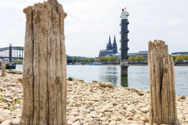 Historischer Niedrigwasser-Rekord am Rhein Freigelegte Pfähle der Patton-Brücke am Deutzer Rheinufer - 16.08.26 Blick auf die bei historischem Niedrigwasser freigelegten Holzpfähle der ehemaligen Patton-Brücke am Deutzer Rheinufer in Höhe des Tanzbrunnens. Die 1946 errichtete Behelfsbrücke wurde 1951 abgerissen, die Holzpfähle blieben im Flussbett zurück und werden bei niedrigem Wasserstand sichtbar. Der Pegel Köln erreicht aktuell einen historischen Tiefstand von 46 cm. Köln Tanzbrunnen Nordrhein-Westfalen Deutschland *** Record-Low Water Level on the Rhine: Exposed Piles of the Patton Bridge on the Deutz Bank of the Rhine, August 16, 1926. View of the wooden piles of the former Patton Bridge on the Deutz bank of the Rhine, n Copyright: xMarcxJohnx