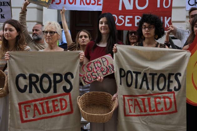 Fossil Free London Crop Failure Protest outside the Treasury, London, UK 17 August 2026 Campaigners stage a protest outside the Treasury on Horse Guards Road, London, UK, on 17 August 2026, calling on Prime Minister Andy Burnham to reject the Rosebank oil field as the public consultation closes. Holding empty harvesting baskets and hessian bags labelled Wheat - Failed , the protesters highlight the connection between fossil fuel extraction and the crop failures resulting from climate-driven heatwaves and droughts., Credit:PETE SPELLER Avalon UK, London  Copyright: xPETExSPELLERx xAvalonx 1124555646