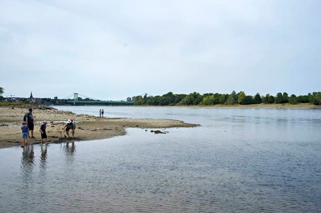 Der Rhein ist in Köln so niedrig wie noch nie. In der Nacht zu Sonntag fiel der Pegel auf nur 45 Zentimeter und damit deutlich unter den bisherigen Tiefststand. Für die Schifffahrt wird das zunehmend zum Problem. Köln, 16.08.2026 *** The Rhine in Cologne is at an all-time low. Overnight into Sunday, the water level dropped to just 45 centimeters, well below the previous record low. This is becoming an increasing problem for shipping. Cologne, August 16, 2026 Foto:xC.xAdolph xFuturexImagex niedrigwasser_6871