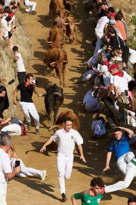 Runners race alongside bulls during traditional Pilon bull run in Spain FALCES, SPAIN, AUGUST 17, 2026: Runners race ahead of fighting bulls along the steep and narrow 800-metre hillside course during the traditional Pilon bull run in Falces, northern Spain. The event is held as part of the town s annual festivities in honour of the Virgin of Nieva. Falces Spain Copyright: x xUnaixBeroizx xJNAxPressx