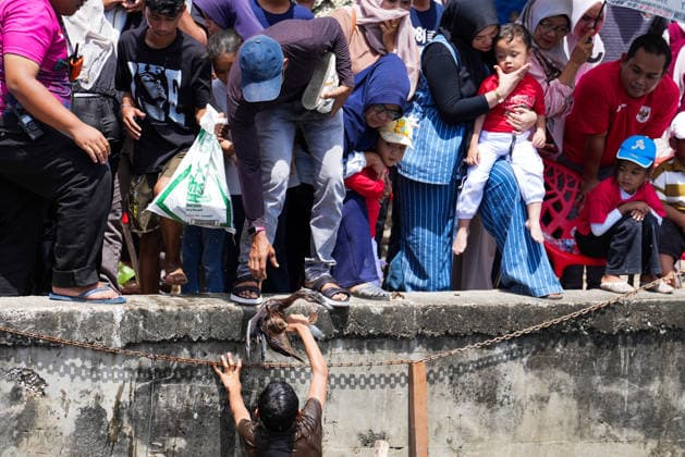 August 17, 2026, Banda Aceh, Aceh, Indonesia: A participant successfully catches a duck during a race in the Lampaseh River, Banda Aceh, Aceh Province, Indonesia, on Monday. The competition, which involved dozens of children and adults, is one of the traditional games held to celebrate the 81st anniversary of the Republic of Indonesia s independence. Banda Aceh Indonesia  - ZUMAi115 20260817_zip_i115_031 Copyright: xMuhammadxIqbalx