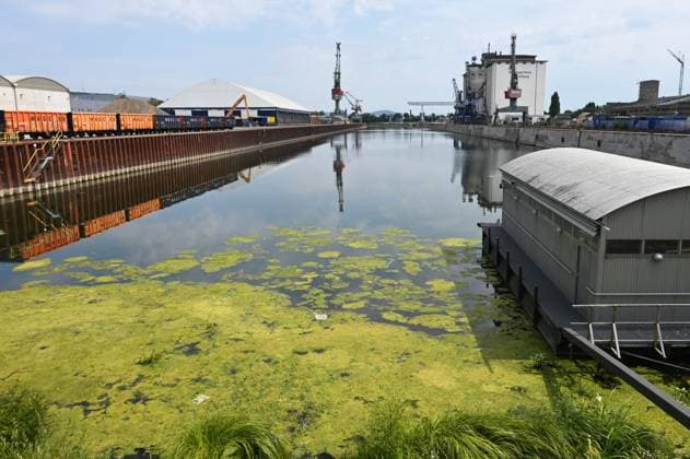 Niedrigwasser der Donau am Hafen in Regensburg, Bayern. Hitze und Dürre haben in Europa zu teils historisch niedrigen Pegelständen geführt. Die Donau führt an mehreren Stellen so wenig Wasser wie nie seit Beginn der Aufzeichnungen. Die Folgen sind weitreichend. Der Fluss hat einen rekordniedrigen Wasserstand erreicht. *** Low water levels on the Danube at the port in Regensburg, Bavaria. Heat and drought have led to water levels in Europe that are, in some cases, at historic lows. In several places, the Danube is carrying less water than at any time since records began. The consequences are far-reaching. The river has reached a record-low water level.