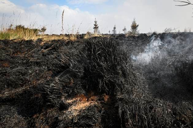 Fire in the Belgian High Fens VOTTEM, BELGIUM - AUGUST 17 : View of the High Fens after an important fire has broken out in the Belgian High Fens on August 17, 2026 in Vottem, Belgium, 17 08 2026 Baelen Belgium  Copyright: xDhax