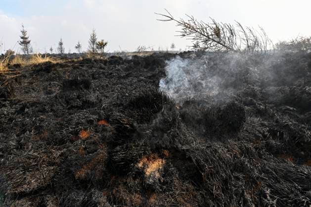 Fire in the Belgian High Fens VOTTEM, BELGIUM - AUGUST 17 : View of the High Fens after an important fire has broken out in the Belgian High Fens on August 17, 2026 in Vottem, Belgium, 17 08 2026 Baelen Belgium  Copyright: xDhax