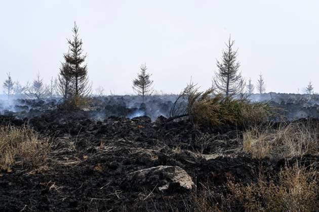 Fire in the Belgian High Fens VOTTEM, BELGIUM - AUGUST 17 : View of the High Fens after an important fire has broken out in the Belgian High Fens on August 17, 2026 in Vottem, Belgium, 17 08 2026 Baelen Belgium  Copyright: xDhax