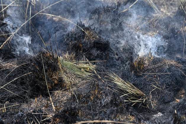 Fire in the Belgian High Fens VOTTEM, BELGIUM - AUGUST 17 : View of the High Fens after an important fire has broken out in the Belgian High Fens on August 17, 2026 in Vottem, Belgium, 17 08 2026 Baelen Belgium  Copyright: xDhax