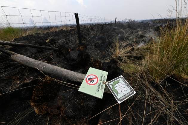 Fire in the Belgian High Fens VOTTEM, BELGIUM - AUGUST 17 : View of the High Fens after an important fire has broken out in the Belgian High Fens on August 17, 2026 in Vottem, Belgium, 17 08 2026 Baelen Belgium  Copyright: xDhax
