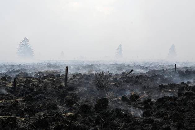 Fire in the Belgian High Fens VOTTEM, BELGIUM - AUGUST 17 : View of the High Fens after an important fire has broken out in the Belgian High Fens on August 17, 2026 in Vottem, Belgium, 17 08 2026 Baelen Belgium  Copyright: xDhax