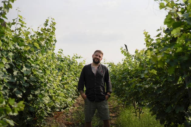 Tattooed man smiling between rows of grapevines Telavi, Kakheti, Georgia R_YUKI2608137F-2104184-01 ,model released, Symbolfoto ,property released