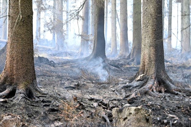 Forest fire continues in eastern Belgium HAUTES FAGNES, BELGIUM - AUGUST 17: A view of burned area as firefighting crews continue to intervene in areas that can be reached by land as a forest fire continues to burn in the Hautes Fagnes region of eastern Belgium on August 17, 2026. The fire, which broke out on Friday, has affected approximately 3,000 hectares, while its spread has slowed compared with previous days. Dursun Aydemir Anadolu Brussels Belgium. Editorial use only. Please get in touch for any other usage.  Copyright: x2026xAnadoluxDursunxAydemirx
