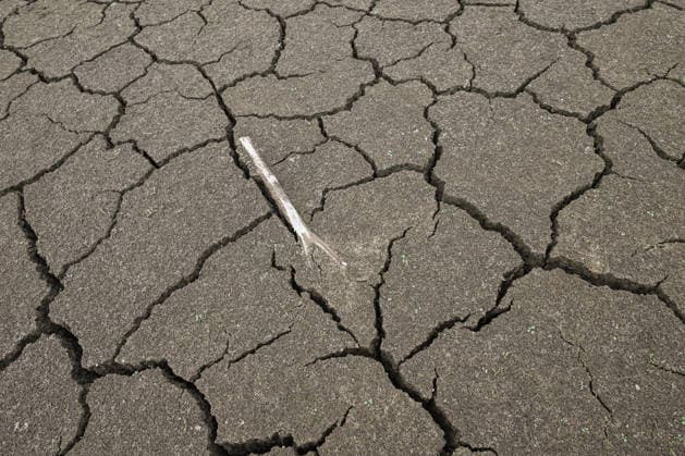 Historic summer heatwave drains southern Poland waterways ZEMBRZYCE, POLAND - AUGUST 17: A solitary wooden stick protrudes from a wide expanse of deeply fractured, parched earth on the exposed bed of the Skawa River basin near Zembrzyce, southern Poland, on August 17, 2026. A record-breaking summer heatwave and acute lack of precipitation have caused water levels to plummet by over a meter, transforming what is usually submerged reservoir terrain into a heavily cracked, dried-out landscape. The critical hydrological drought has forced regional authorities to enforce emergency water restrictions across the Malopolska province. Artur Widak Anadolu Zembrzyce Poland. Editorial use only. Please get in touch for any other usage.  Copyright: x2026xAnadoluxArturxWidakx