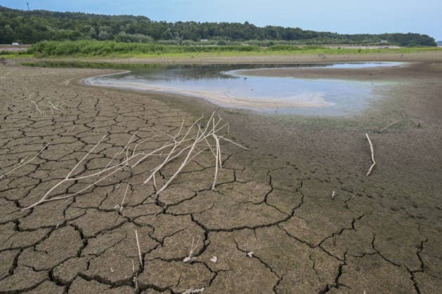 Historic summer heatwave drains southern Poland waterways ZEMBRZYCE, POLAND - AUGUST 17: Bleached, dead branches protrude from a wide expanse of deeply fractured, parched earth bordering a shrinking pool of water in the dried-up Skawa River basin near Zembrzyce, southern Poland, on August 17, 2026. A record-breaking summer heatwave and acute lack of precipitation have caused regional water levels to plummet by over a meter, exposing vast sections of the riverbed and reservoir banks. The critical hydrological drought has forced regional authorities to enforce emergency water restrictions across the Malopolska province. Artur Widak Anadolu Zembrzyce Poland. Editorial use only. Please get in touch for any other usage.  Copyright: x2026xAnadoluxArturxWidakx
